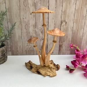 Wood Mushroom / Mushroom Ornament / Mushroom Gifts / Wooden Mushroom / Toadstool Ornament / Mushroom on Wood / Teak Root / Driftwood / Gifts