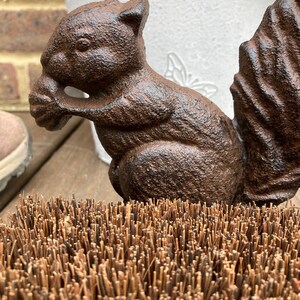 May include: A cast iron squirrel doorstop with a brown finish. The squirrel is holding a nut in its paws and has a bushy tail. The doorstop is sitting on a brown coir doormat.