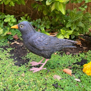 Black Bird Sculpture Garden Bird Statue Ornament British Bird Wildlife Frost Proof Realistic Lifelike