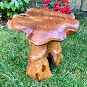 May include: A natural wood stool with a unique, organic shape. The top of the stool is a large, flat surface with a wavy edge. The base of the stool is made of two thick, twisted legs.