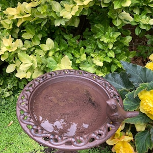 May include: A brown cast iron bird bath with a decorative design and a small bird figurine on the side. The bird bath is filled with water and is surrounded by green plants.