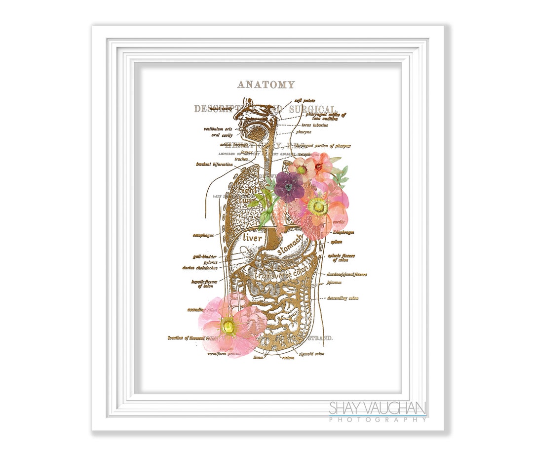 Digestive System Anatomy Art Print Faux Gold Floral Digestive Tract ...