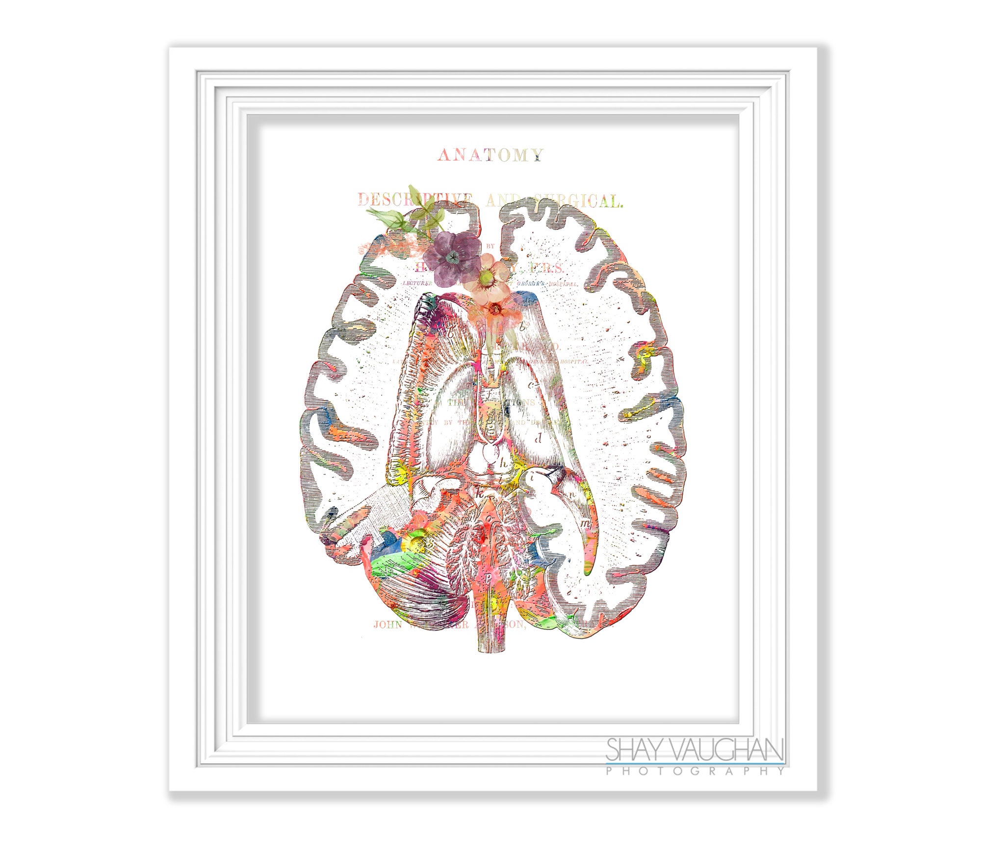 Human Brain Print Anatomy Art Watercolor Floral Brain Print Anatomical ...