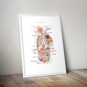 Digestive System Anatomy Art Print Watercolor Floral Digestive Tract ...