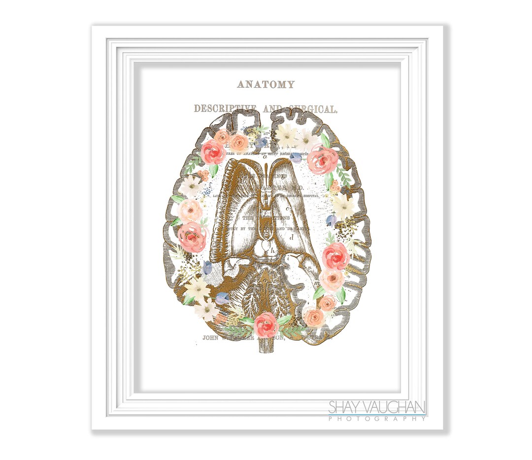 Human Brain Print Anatomy Art Faux Gold Floral Brain Print Anatomical ...
