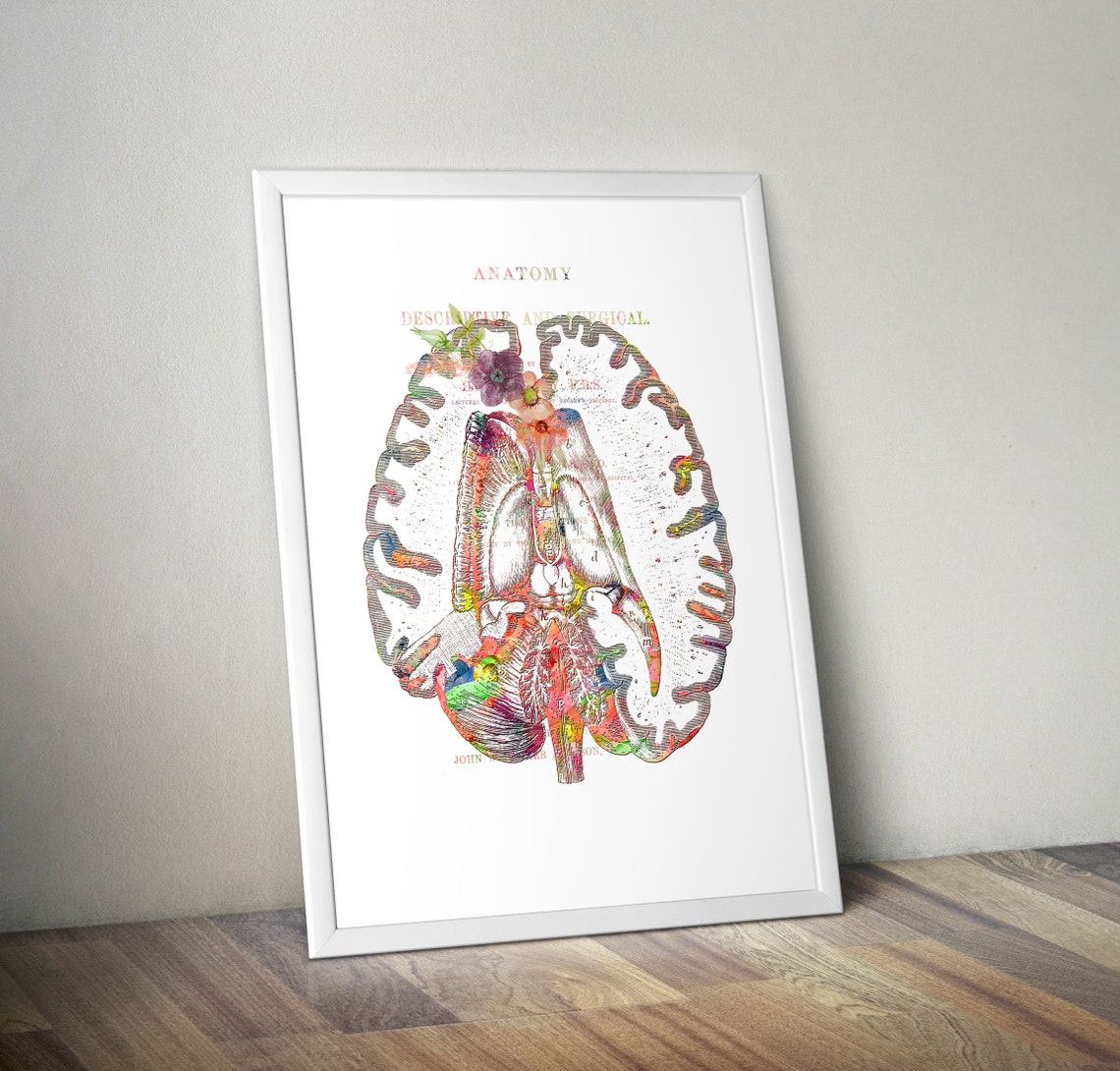 Human Brain Print Anatomy Art Watercolor Floral Brain Print | Etsy