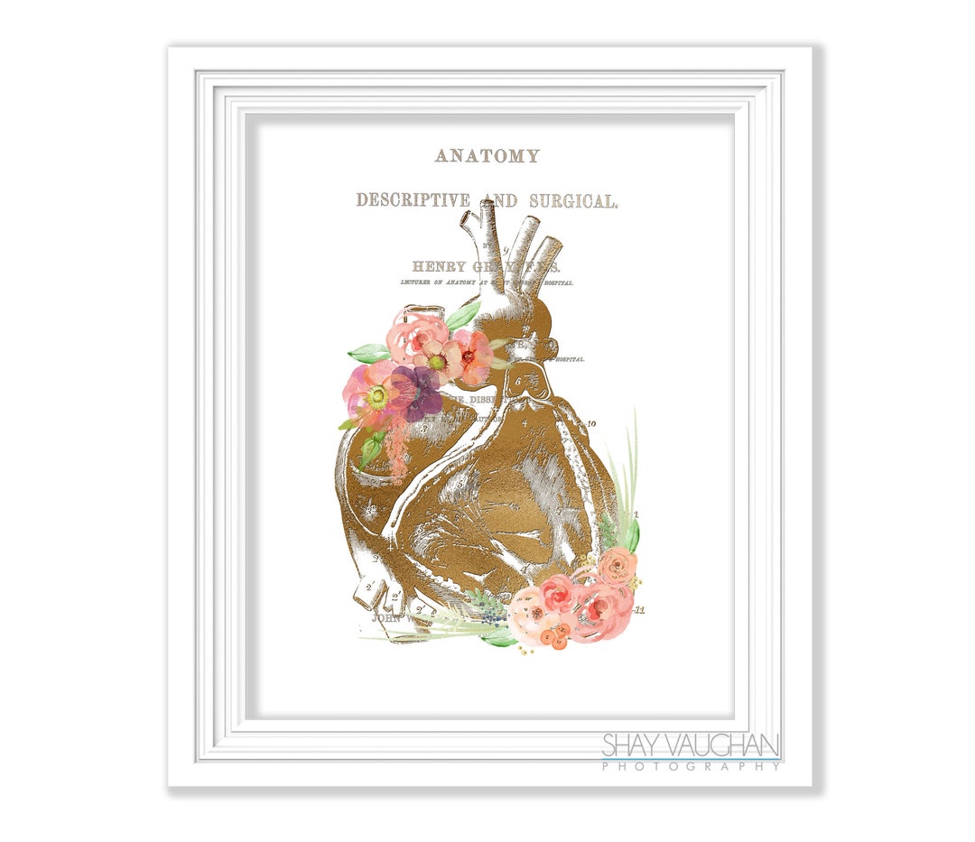 Heart Anatomy Art Faux Gold Floral Heart Print Anatomical Heart Print ...