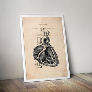 Heart Anatomy Art Vintage Anatomy Heart Print Anatomical Heart Print ...
