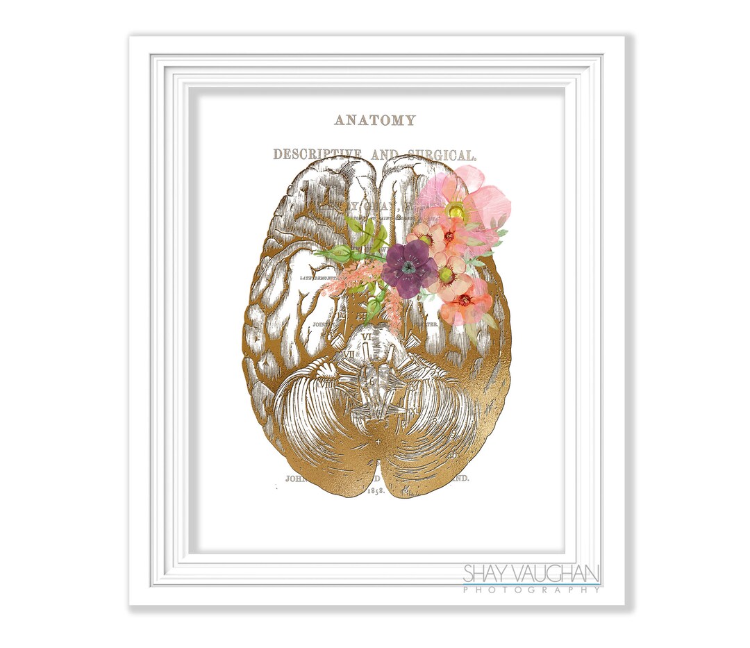 Human Brain Art Anatomy Brain Faux Gold Floral Brain Print Anatomical ...
