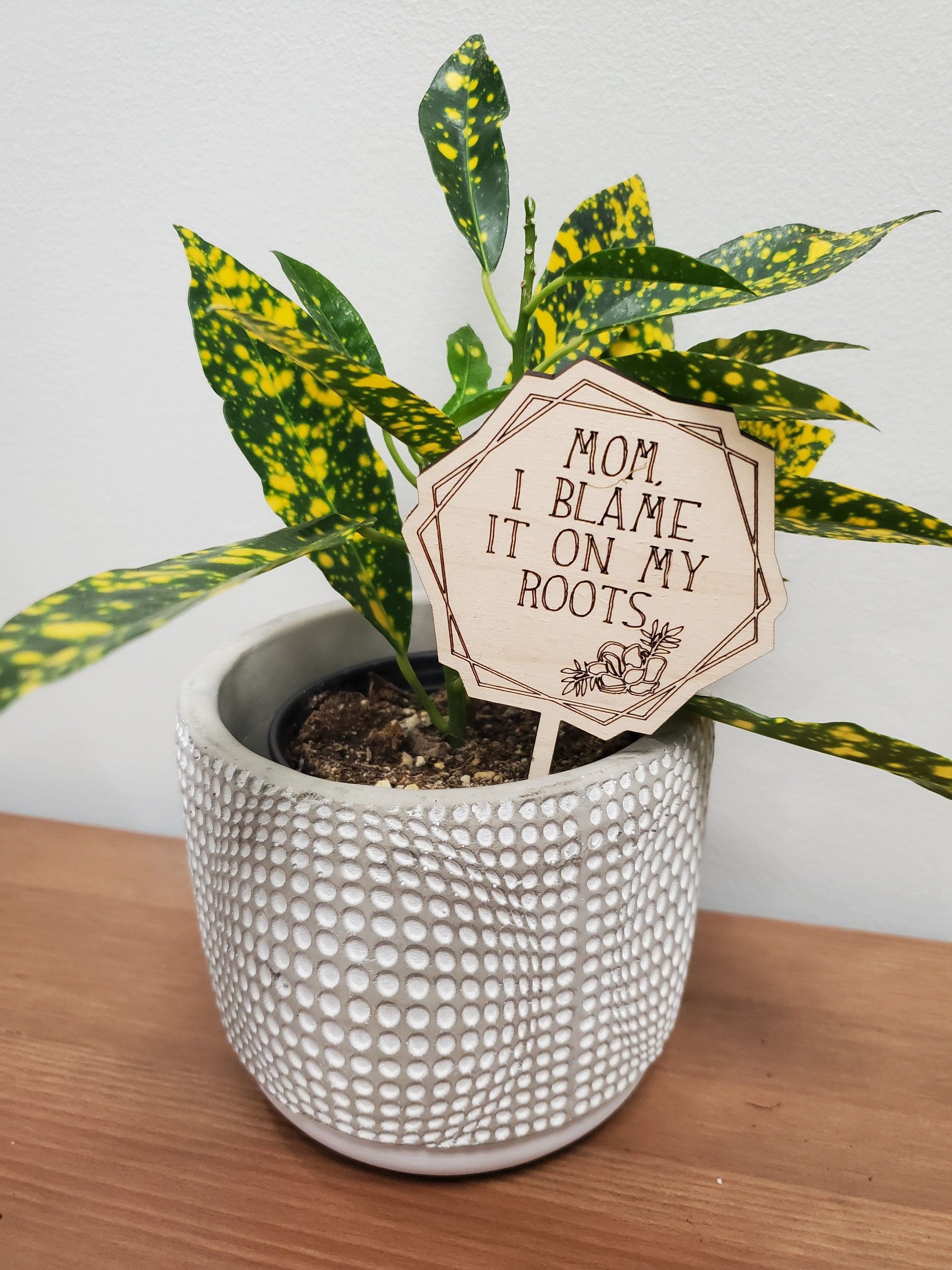 Mothers Day Gift / Engraved Plant Picks Wooden Plant Tags Etsy