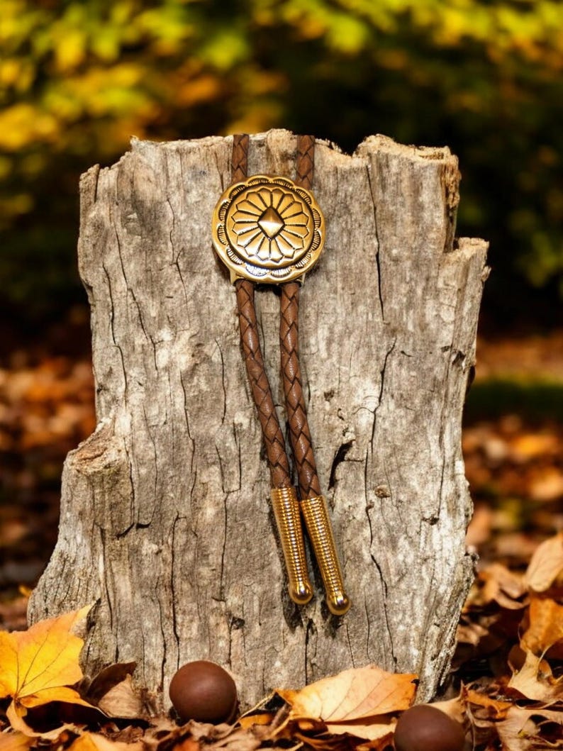 May include: A brown leather bolo tie with a gold-toned metal tip and a decorative, circular, gold-toned metal concho. The concho has a geometric design.