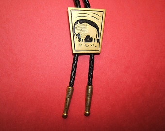 May include: A bolo tie with a rectangular gold-colored pendant featuring a carved bison design. The pendant hangs from a black braided leather cord with gold-colored metal tips. The background is a solid red.