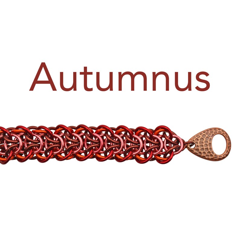 Kit de proyecto: Pulsera trenzada Elfweave - Kit de bricolaje de cota de malla de nivel intermedio - Elige tu combinación de colores - Instrucciones en PDF se venden por separado Autumnus