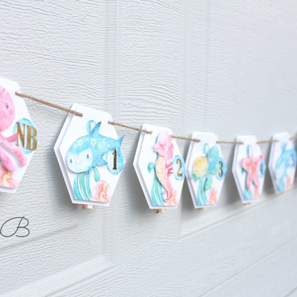 Under The Sea Monthly Photo Banner, Oneder the Sea Monthly Milestone Banner, Under The Sea First Birthday Banner