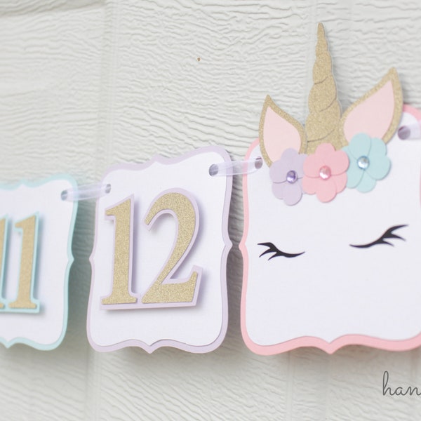 Unicorn Monthly Photo Banner, Unicorn 12 Month Banner, Unicorn First Birthday, Unicorn Birthday Banner