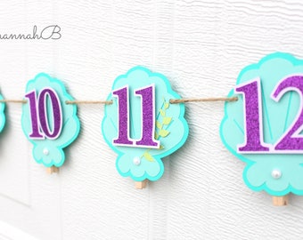 Mermaid Photo Banner, Mermaid 12 Month Banner, Monthly Photo Banner, Mermaid Milestone Banner, Mermaid First Birthday