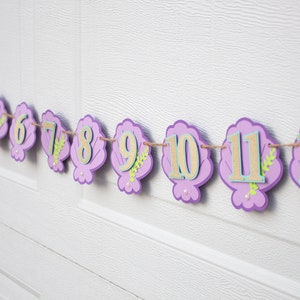 Mermaid Monthly Photo Banner, Oneder the Sea Monthly Milestone Banner, Under The Sea First Birthday Banner