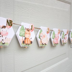 Farm Animals 1st Birthday Banner, Farm Animal Monthly Banner, Farmyard Milestone Banner, Holy Cow I’m One Birthday Banner