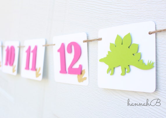 12 month dinosaur banner Dinosaur first year photo banner