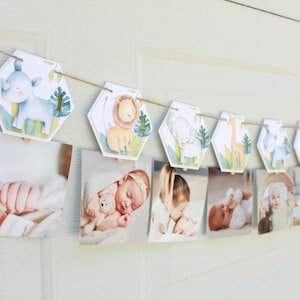 Wild One Monthly Banner, Wild One Photo Banner, Wild One Birthday Banner, Wild One 1st Birthday Party