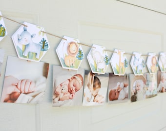 Wild One Monthly Banner, Wild One Photo Banner, Wild One Birthday Banner, Wild One 1st Birthday Party