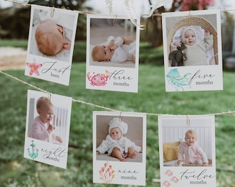 Può includere: Un set di 10 cartoline fotografiche a tema nautico. Ogni cartolina presenta una foto di un bambino e un numero che rappresenta l'età del bambino in mesi. Le cartoline sono decorate con illustrazioni ad acquerello di creature marine, come una stella marina, un granchio, una medusa e un'ancora.