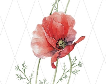 Red Poppy Watercolor Flower PNG, Sublimation Design (Digital Download)