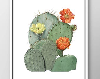 Cactus Wall Art Print: Botanical Desert Plant Illustration (Digital Download)