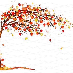 Albero PNG autunnale Solo foglie autunnali che cadono BESTSELLER Piegato senza sfondo Waterslide HTV Transfer Maglietta commerciale trasparente #1052