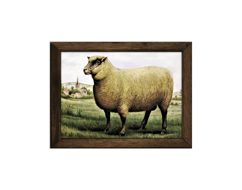 Farm Decor Sheep Print Rustic Wall Art Sheep Wall Decor Etsy