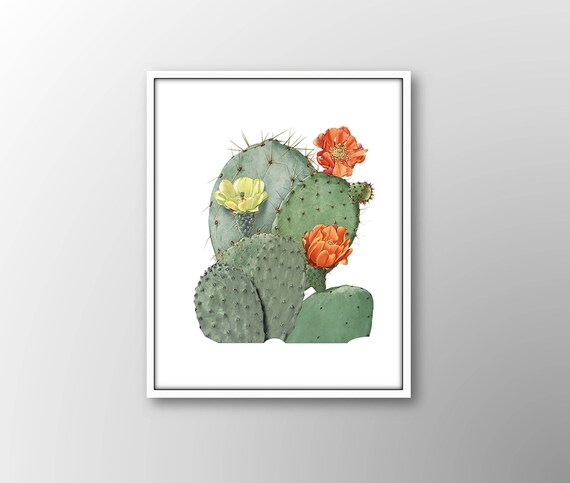 SALE Vintage Cactus Wall Decor Bathroom Wall Decor