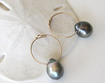 Pearl Drop Earrings Gold, Tahitian Pearl Earrings, Small Gold Hoops, MInimalist Jewelry, Pearl Drop Hoops, Hawaiian Jewelry, 3/4 inch Hoops