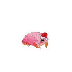 Op de afbeelding: Een roze kikker met een rode kerstmanmuts met witte rand. De kikker heeft oranje voeten en een witte achtergrond.