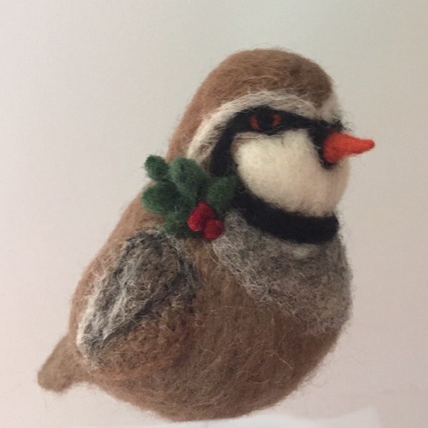 Kit: Needle Felted Bird of the Month December