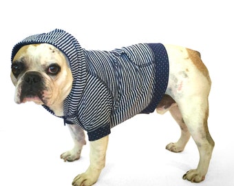 Puede incluir: Un Bulldog Francés con un suéter con capucha a rayas azules y blancas con cremallera. El suéter tiene un patrón de lunares en las mangas.