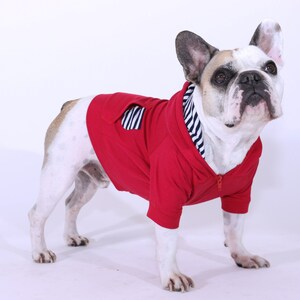 REG/LARGE French Bulldog Dog Hoodie with Contrast Hood Lining: Red