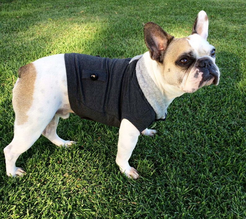 REG/LARGE French Bulldog Dog Vest Sherpa Collared Frankie Etsy