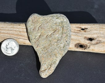 Uniquely shaped rock with catlike tail, heart shaped rock from New England coast.