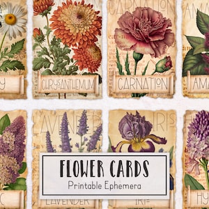 Vintage Style Flower Botanical Ephemera Kit | Digital Junk Journal Kit | Scrapbooking Kit | Printable Ephemera Flowers Plants Nature
