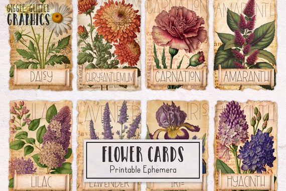 Vintage Style Flower Botanical Ephemera Kit | Digital Junk Journal Kit |  Scrapbooking Kit | Printable Ephemera Flowers Plants Nature - Etsy