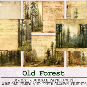 Altes Wald Junk Journal Papier | Junk Journal Kit JPG und PDF | Druckbare Journal Seiten | Digitales Papier Ephemera | Baum Aquarell Natur