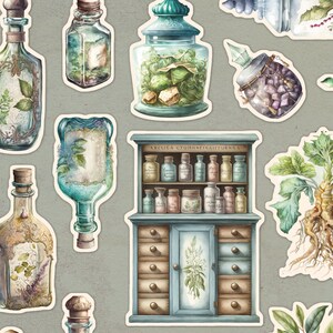 May include: A collection of vintage apothecary bottles and jars with various herbs and botanicals inside. The bottles are decorated with intricate details and labels. There is also a cabinet with drawers and shelves filled with more bottles. The image has a vintage, whimsical feel.