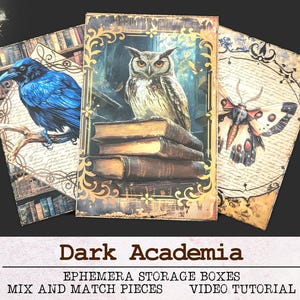 Könnte beinhalten: Drei Ephemera-Aufbewahrungsboxen im Vintage-Stil mit Illustrationen eines blauen Raben, einer Eule auf Büchern und einer Motte. Die Boxen sind mit "Dark Academia" beschriftet und für Junk Journals konzipiert.