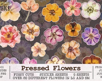Hojas de pegatinas imprimibles con recortes de flores prensadas / Kit para diario basura JPG PNG PDF / Scrapbooking Ephemera