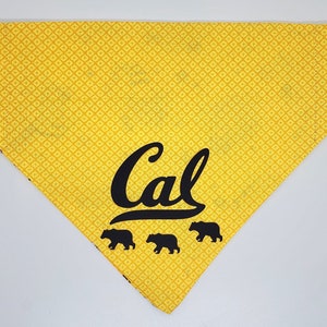 May include: Yellow dog bandana with a black "Cal" logo and four black bear silhouettes.
