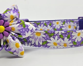 Dog collar with bow purple daisies