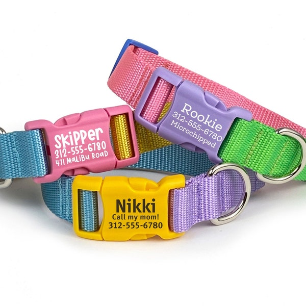 Color-Block Personalized Dog Collar | Colorful Dog Collar with Pet ID | Webbing Dog Collar with Engraved Buckle | Girl Dog Collar | Name ID