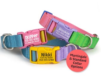 Personalized Color-Block Martingale Dog Collar: Engraved Buckle, Heavyweight Nylon Webbing