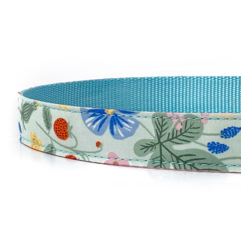 Spring Dog Collar - Etsy