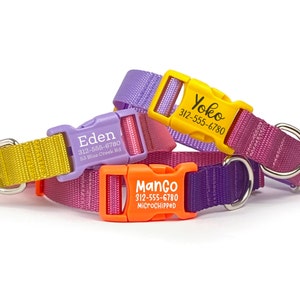 Collare per cani personalizzato color-block / Collare per cani colorato con ID animale domestico / Collare per cani in fettuccia con fibbia incisa / Collare per cani da bambina / ID nome